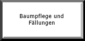 Baumpflege und Fällungen